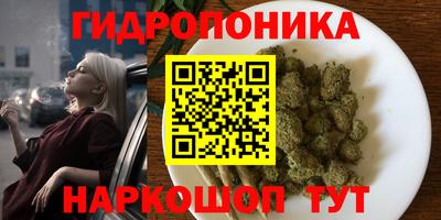 дурь Ефремов
