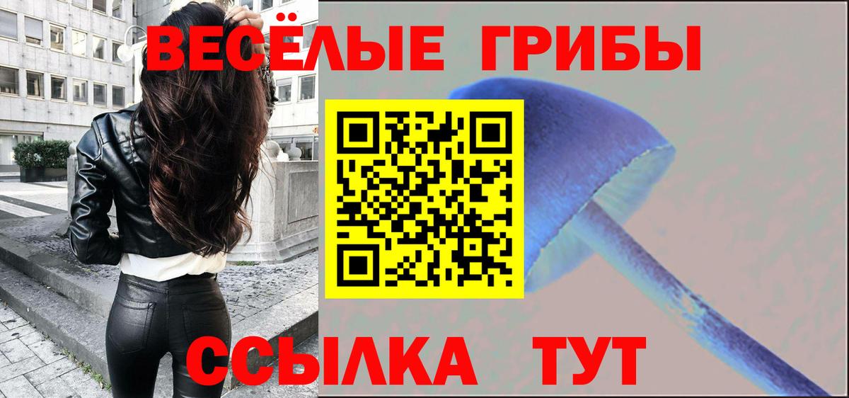 Псилоцибиновые грибы мухоморы Осинники