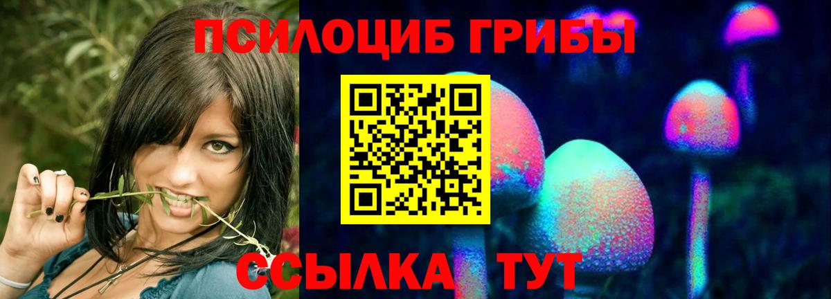 Галлюциногенные грибы Psilocybe  Галлюциногенные грибы MAGIC MUSHROOMS  Осинники  Вход с VPN 